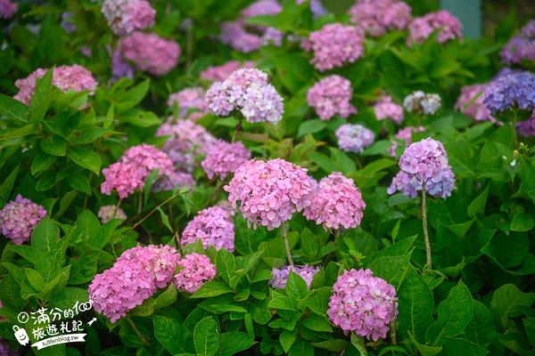 ▲▼北宜石牌縣界公園。（圖／部落客滿分的旅遊札記授權提供）