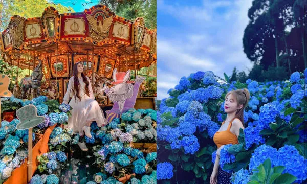 ▲▼全台Top 9繡球花景點。（圖／ReadyGo提供）