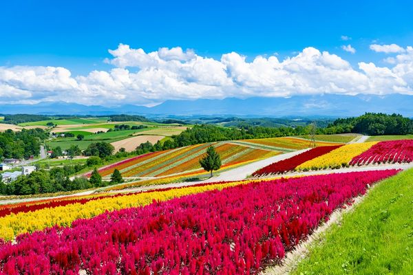 ▲易遊網即日起至5月28日限時推出「爽GO夏遊節」線上旅展。（圖／易遊網提供）