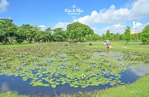 ▲▼后里環保公園花田綠廊-金針花向日葵盛開中，台中免費賞花秘境。（圖／部落客Nini and Blue 玩樂食記授權提供）