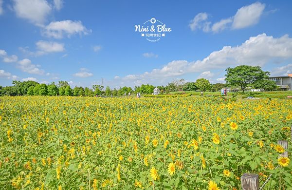 ▲▼后里環保公園花田綠廊-金針花向日葵盛開中，台中免費賞花秘境。（圖／部落客Nini and Blue 玩樂食記授權提供）