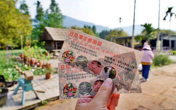 ▲▼日月潭金針花園區。（圖／部落客Mika授權提供）