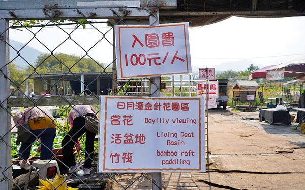 ▲▼日月潭金針花園區。（圖／部落客Mika授權提供）