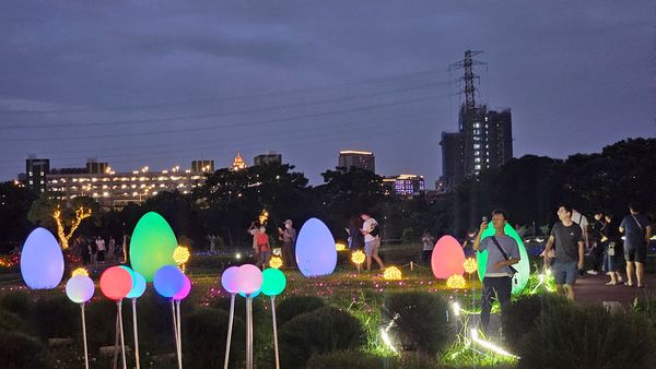▲2025新北河濱蝶戀季展至5月25日，在謝幕之後，5月27日高灘處將舉辦「感謝有你贈花活動」，開放現場草花讓免費領取。（圖／新北市高灘處提供）