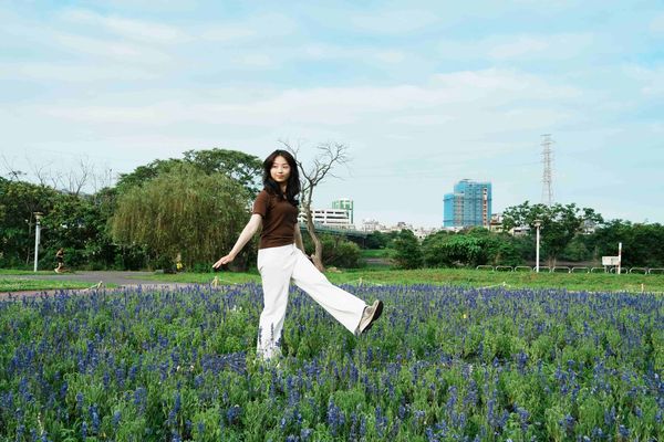 ▲2025新北河濱蝶戀季展至5月25日，在謝幕之後，5月27日高灘處將舉辦「感謝有你贈花活動」，開放現場草花讓免費領取。（圖／新北市高灘處提供）
