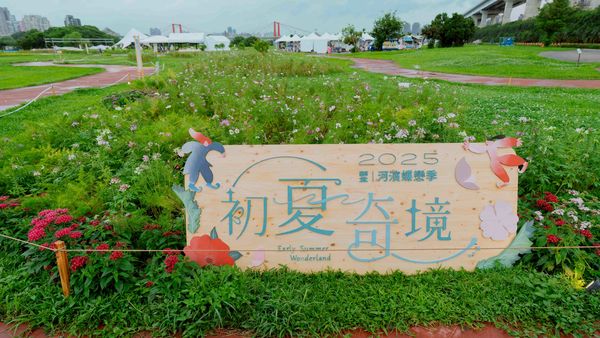 ▲2025新北河濱蝶戀季展至5月25日，在謝幕之後，5月27日高灘處將舉辦「感謝有你贈花活動」，開放現場草花讓免費領取。（圖／新北市高灘處提供）