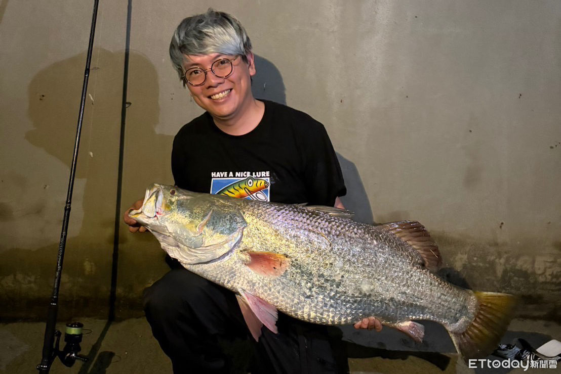 後勁溪出海口驚見巨大海鱸！他釣到110cm、30斤重金目鱸震驚釣友