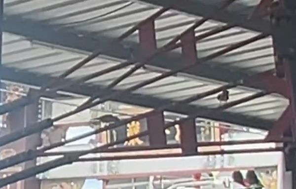 ▲麻雀夫妻守在洗車場天花板。（圖／記者唐詠絮翻攝）