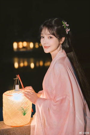 ▲▼央視美女主播胡蝶。（圖／翻攝微博）