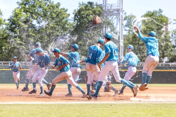 ▲新北市王貞治盃奪冠。（圖／中華棒協提供）