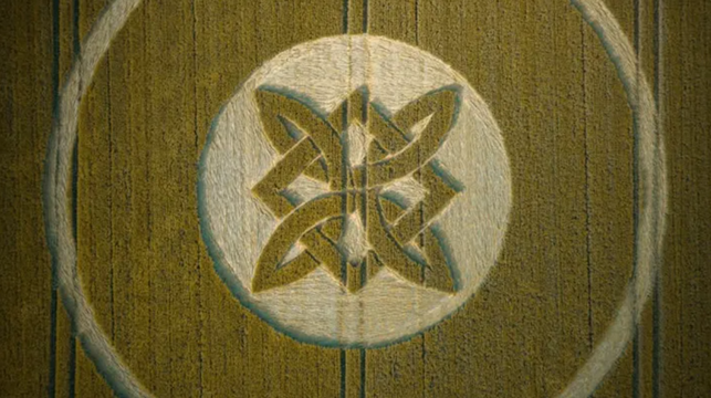▲▼又現麥田圈？俯瞰驚見「神秘幾何圖」　英國農民超崩潰。（圖／翻攝GoFundMe）