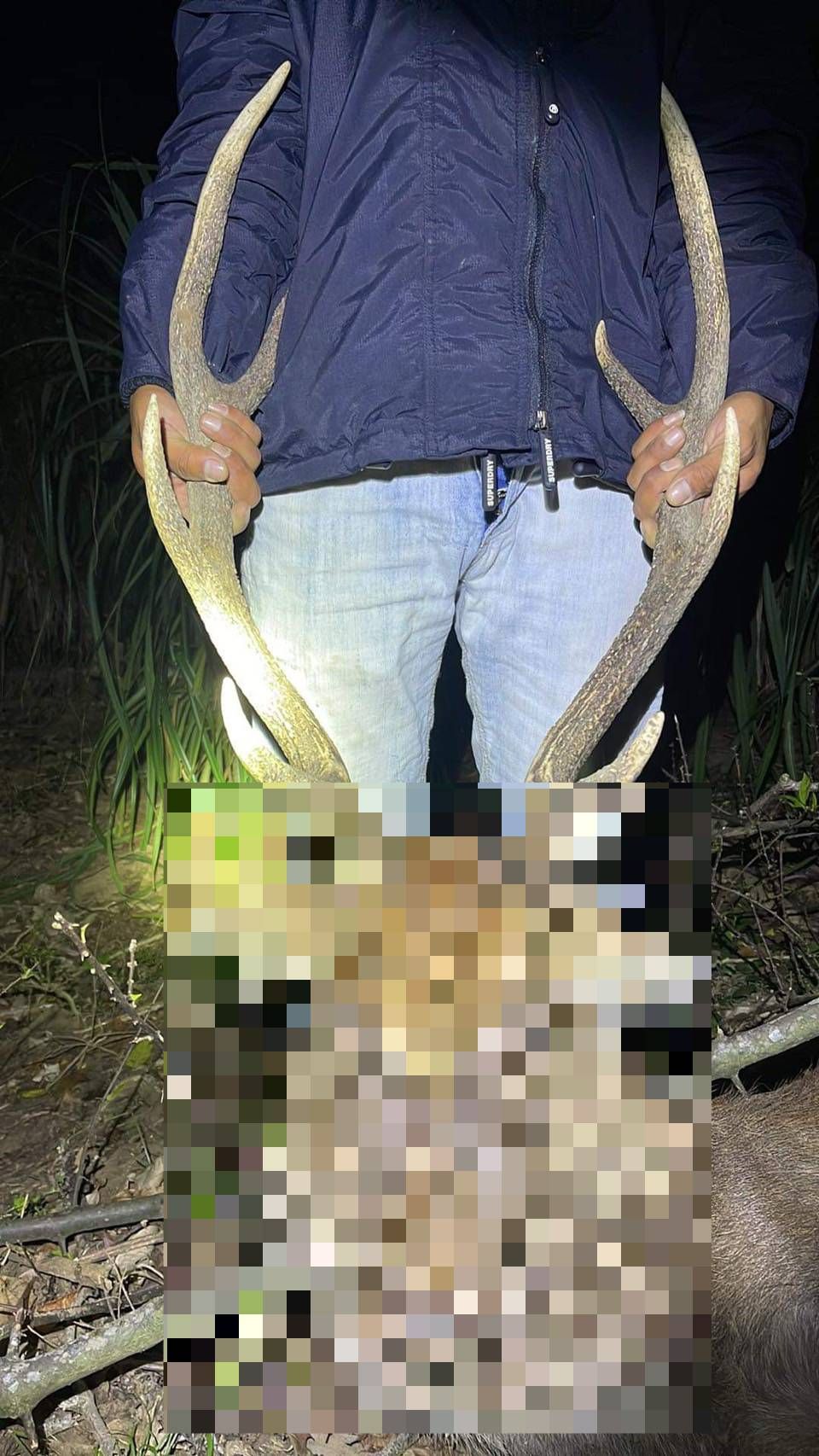 ▲保七總隊第八大隊逮獲涉嫌獵殺梅花鹿嫌犯             。（圖／記者陳崑福翻攝）