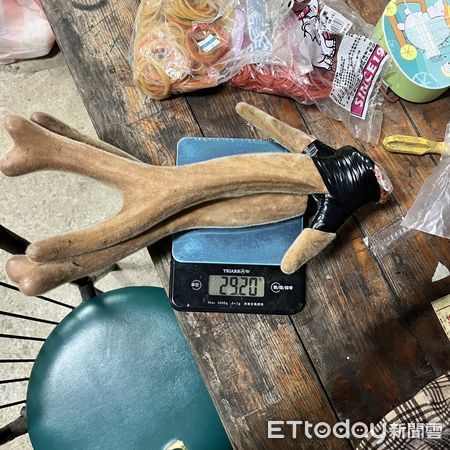 ▲保七總隊第八大隊逮獲涉嫌獵殺梅花鹿嫌犯             。（圖／記者陳崑福翻攝）