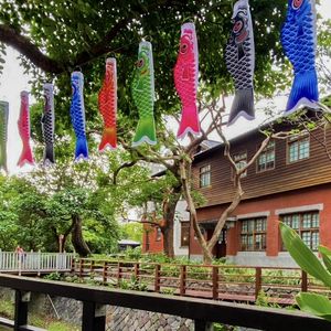北投夏日祭今開跑！拍鯉魚旗、逛市集