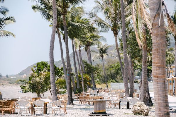 ▲▼Coconut Coast 椰海漫漫。（圖／部落客黑皮的旅遊筆記授權提供）