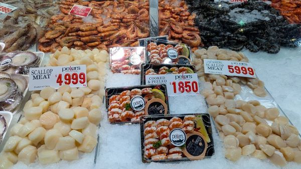 ▲▼【雪梨經典市場】雪梨魚市場吃吃喝喝、參觀資訊說明與周遭景點介紹。（圖／部落客travel with leo授權提供）