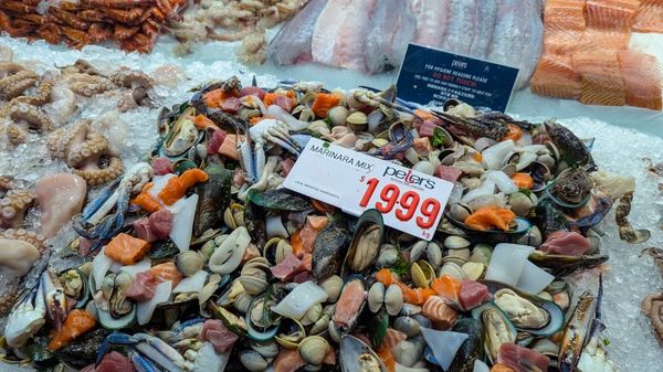 ▲▼【雪梨經典市場】雪梨魚市場吃吃喝喝、參觀資訊說明與周遭景點介紹。（圖／部落客travel with leo授權提供）