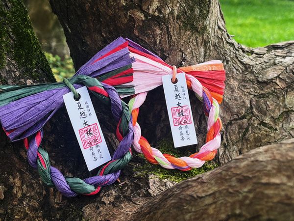 ▲「桃園神社夏越大祓」將從5/30舉辦至6/29。（圖／桃園神社提供）