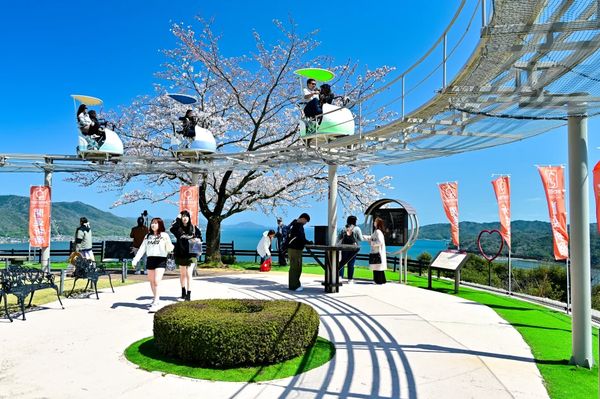 ▲▼【京都郊區賞櫻】日本三景天橋立View Land賞櫻與伊根舟屋一日遊。（圖／部落客travel with leo授權提供）