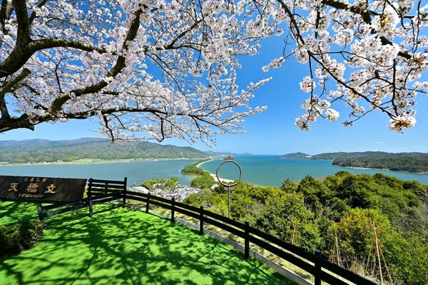 ▲▼【京都郊區賞櫻】日本三景天橋立View Land賞櫻與伊根舟屋一日遊。（圖／部落客travel with leo授權提供）