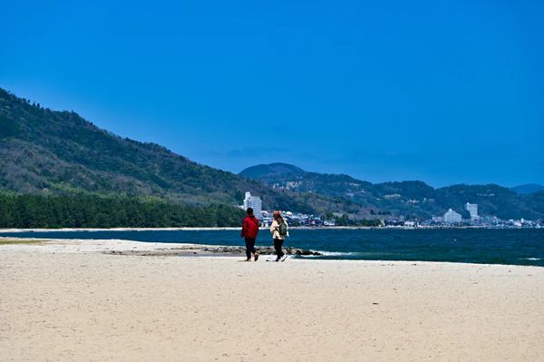 ▲▼【京都郊區賞櫻】日本三景天橋立View Land賞櫻與伊根舟屋一日遊。（圖／部落客travel with leo授權提供）