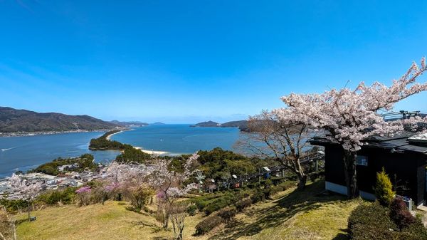 ▲▼【京都郊區賞櫻】日本三景天橋立View Land賞櫻與伊根舟屋一日遊。（圖／部落客travel with leo授權提供）