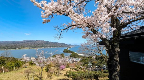 ▲▼【京都郊區賞櫻】日本三景天橋立View Land賞櫻與伊根舟屋一日遊。（圖／部落客travel with leo授權提供）