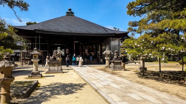 ▲▼【京都郊區賞櫻】日本三景天橋立View Land賞櫻與伊根舟屋一日遊。（圖／部落客travel with leo授權提供）