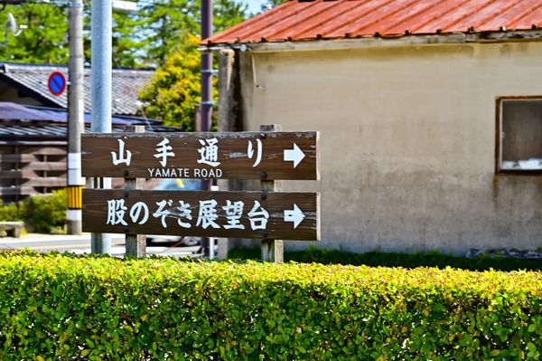 ▲▼【京都郊區賞櫻】日本三景天橋立View Land賞櫻與伊根舟屋一日遊。（圖／部落客travel with leo授權提供）