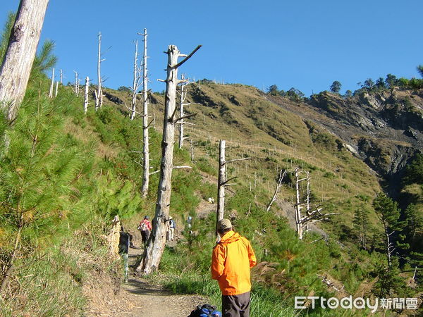 ▲良好技術裝備及林地生存技能、由具林地經驗的領隊帶領都能降低登山活動風險。（圖／林業保育署南投分署提供）