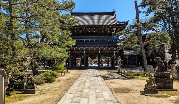 ▲▼【京都郊區賞櫻】日本三景天橋立View Land賞櫻與伊根舟屋一日遊。（圖／部落客travel with leo授權提供）