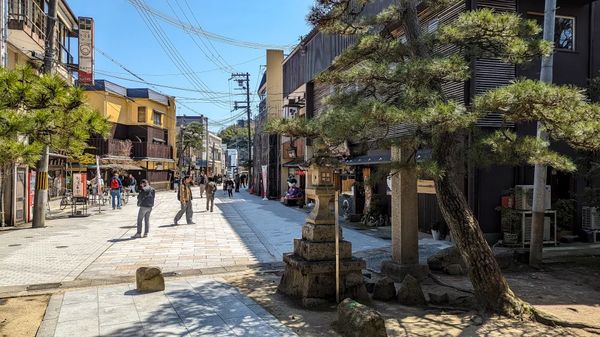 ▲▼【京都郊區賞櫻】日本三景天橋立View Land賞櫻與伊根舟屋一日遊。（圖／部落客travel with leo授權提供）