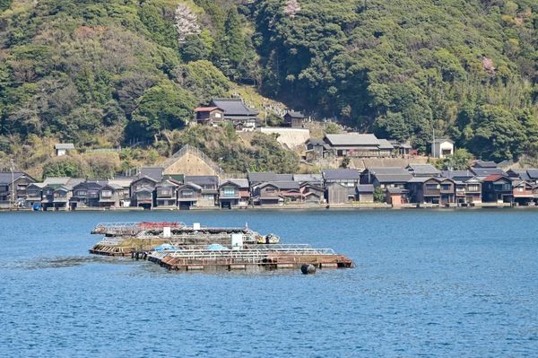 ▲▼【京都郊區賞櫻】日本三景天橋立View Land賞櫻與伊根舟屋一日遊。（圖／部落客travel with leo授權提供）