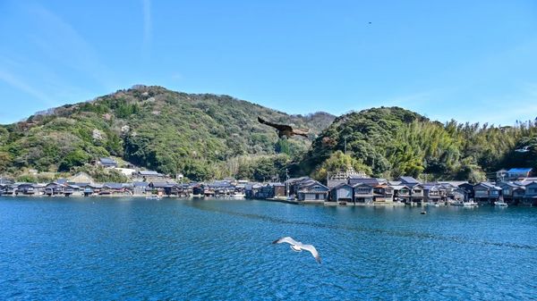 ▲▼【京都郊區賞櫻】日本三景天橋立View Land賞櫻與伊根舟屋一日遊。（圖／部落客travel with leo授權提供）