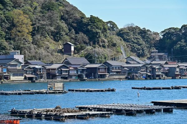 ▲▼【京都郊區賞櫻】日本三景天橋立View Land賞櫻與伊根舟屋一日遊。（圖／部落客travel with leo授權提供）