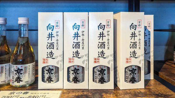 ▲▼【京都郊區賞櫻】日本三景天橋立View Land賞櫻與伊根舟屋一日遊。（圖／部落客travel with leo授權提供）