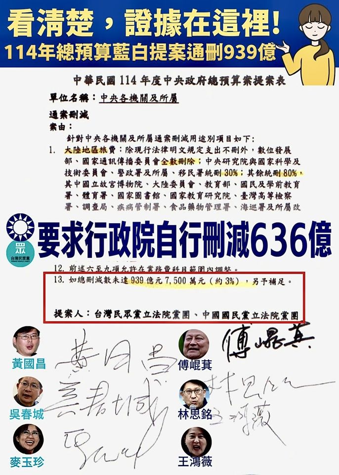 ▲民進黨立委林楚茵點名，國民黨與民眾黨當初亂刪預算，害地方政府的補助款被砍。（圖／翻攝自Facebook／林楚茵）