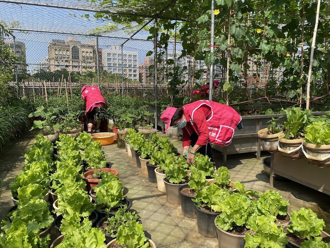 ▲新北可食地景打造永續社區。（圖／新北市景觀處提供）