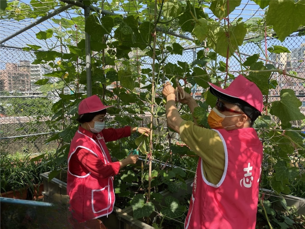 ▲新北可食地景打造永續社區。（圖／新北市景觀處提供）