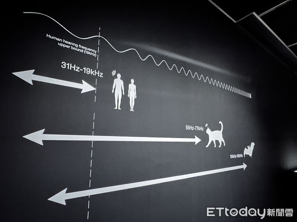 ▲▼台北當代藝術館推出「安全室」、「環世界日誌」雙主題展覽，聚焦於災難、萬物共生議題。（圖／記者林育綾攝）