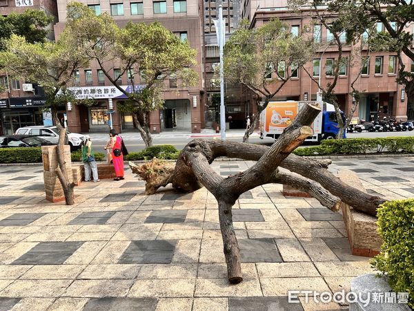 ▲▼台北當代藝術館推出「安全室」、「環世界日誌」雙主題展覽，聚焦於災難、萬物共生議題。（圖／記者林育綾攝）