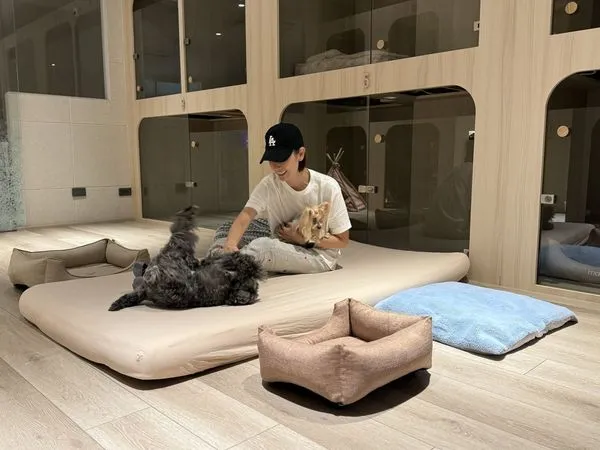 獨家／潘慧如砸千萬開寵物旅館終現曙光　6月離開台灣踏上朝聖之路