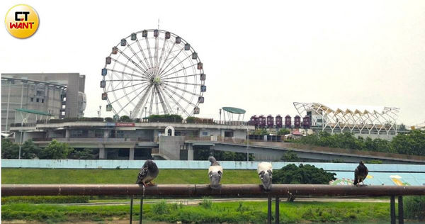 T17、T18土地隔著外雙溪與兒童新樂園遙望，河岸氛圍相當愜意自在。（圖／林榮芳攝）