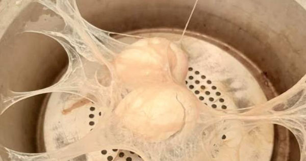 女網友用電鍋蒸雞蛋，沒想到竟把電鍋搞成「盤絲洞」，讓1.7萬名網友笑翻。（圖／翻攝自臉書）