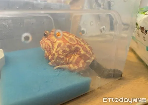 ▲（圖／Threads@toby___shu提供）