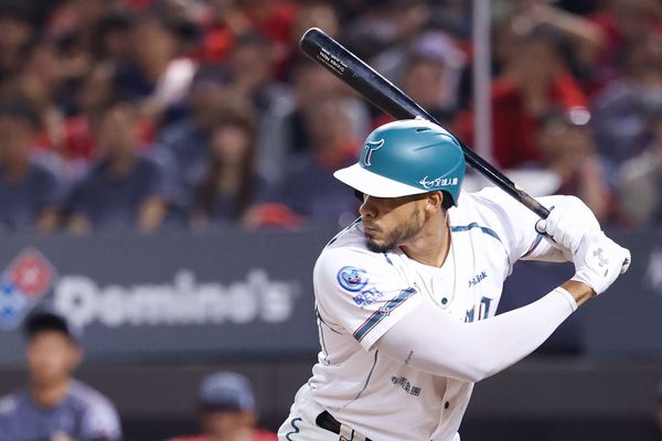 ▲台鋼雄鷹洋將魔鷹。（圖／台鋼雄鷹提供）