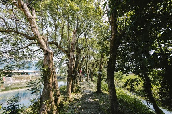 ▲▼廣興農場鴨母寮豬哥窟。（圖／部落客黑皮的旅遊筆記授權提供）