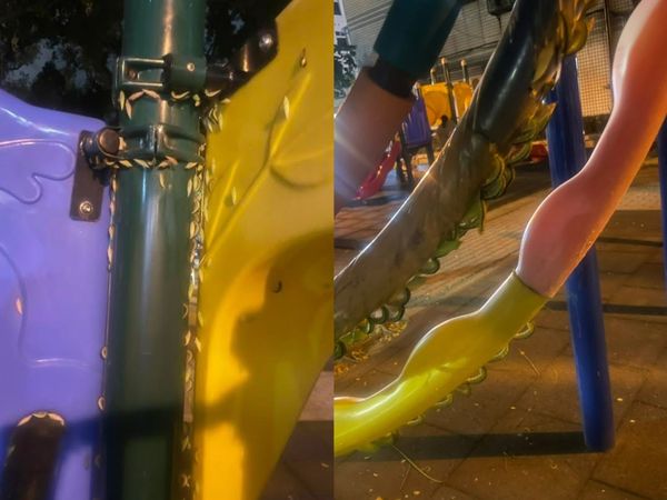 ▲高雄瑞祥公園遊樂器材滿是毛毛蟲。（圖／翻攝自高雄大小事）