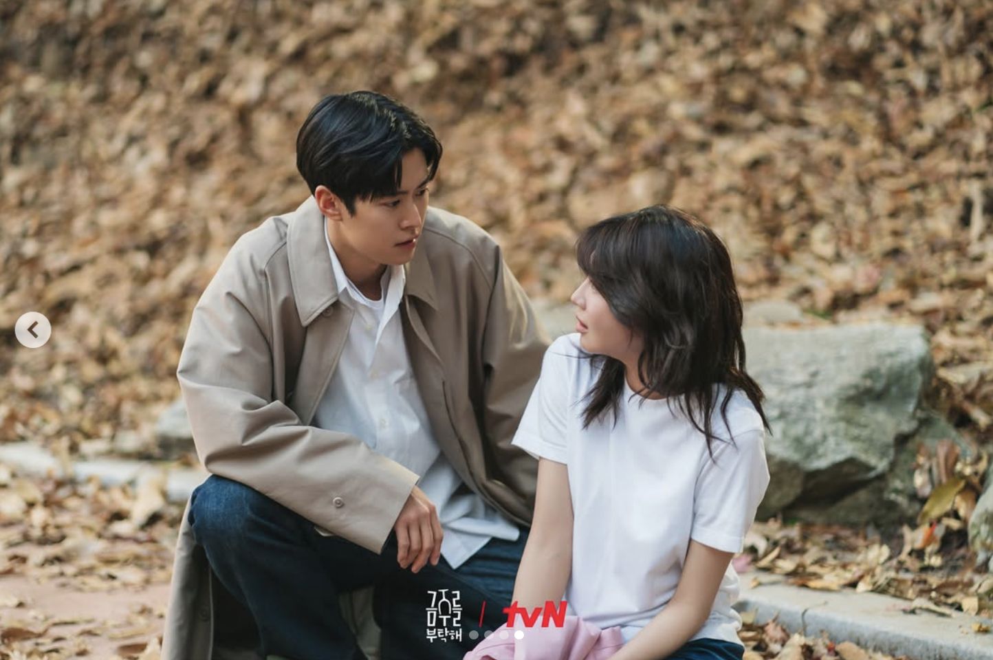 星座,占卜,。（圖／tvn_drama IG）
