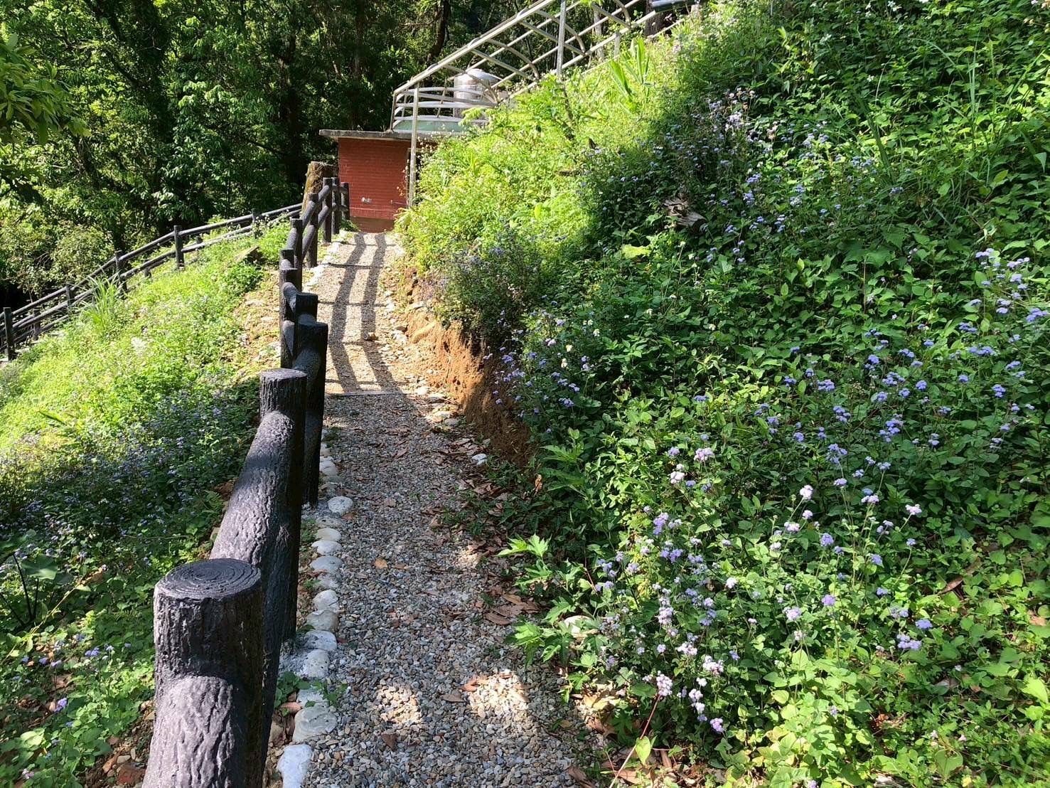 ▲▼新北,紫東社區,生態,綠能,永續,旅遊,農村,平溪。（圖／新北市農業局提供）